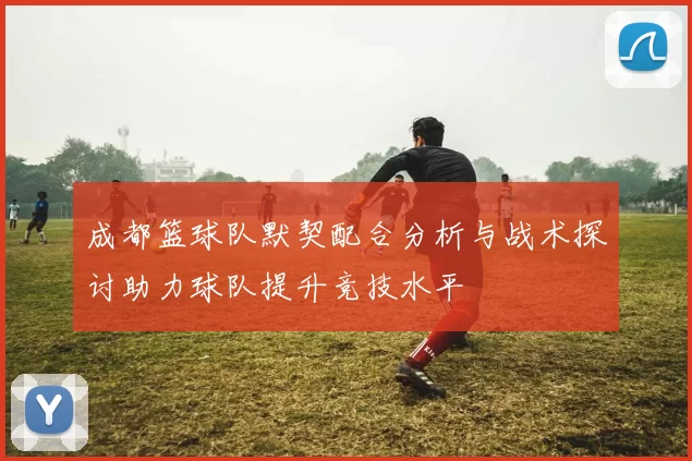 成都篮球队默契配合分析与战术探讨助力球队提升竞技水平