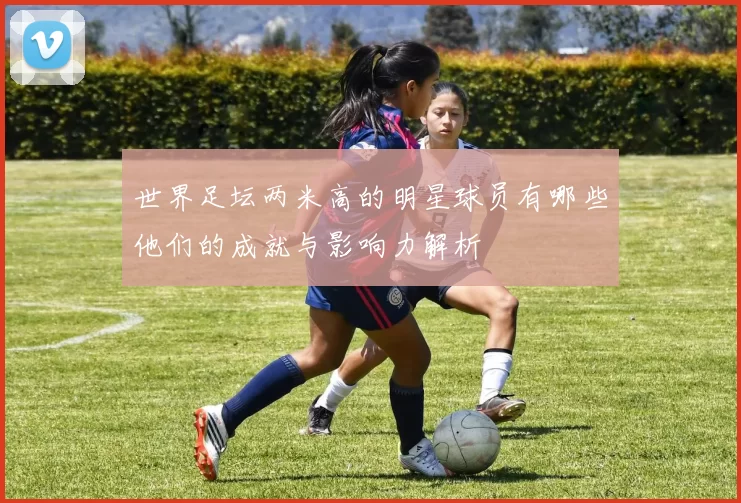 世界足坛两米高的明星球员有哪些他们的成就与影响力解析