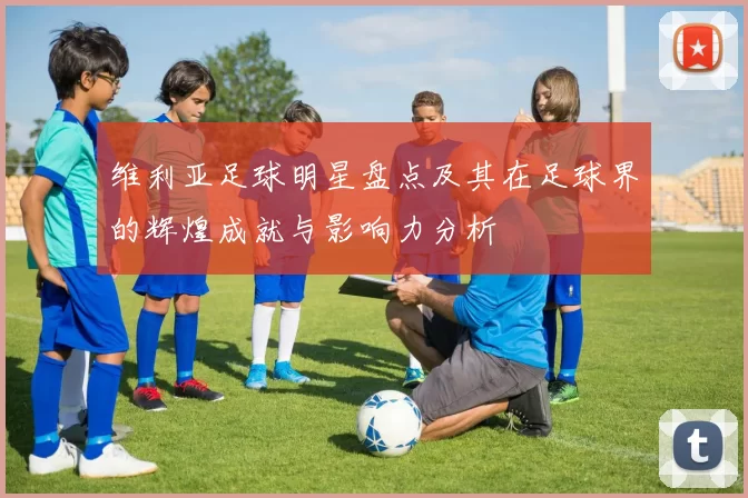 维利亚足球明星盘点及其在足球界的辉煌成就与影响力分析