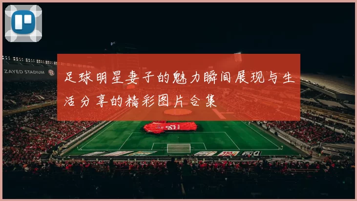 足球明星妻子的魅力瞬间展现与生活分享的精彩图片合集