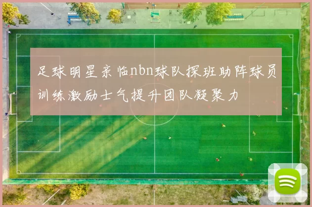 足球明星亲临nbn球队探班助阵球员训练激励士气提升团队凝聚力