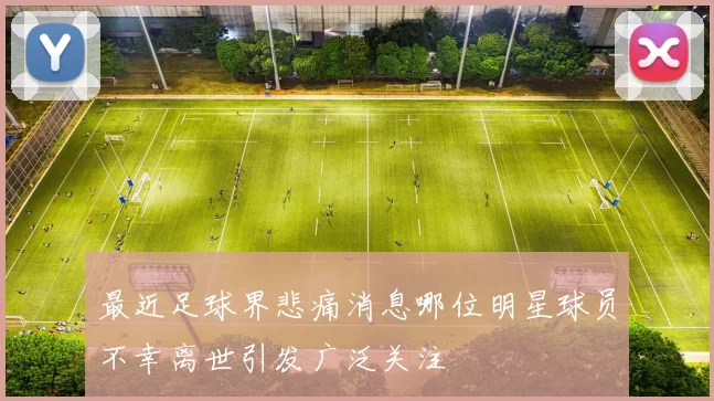 最近足球界悲痛消息哪位明星球员不幸离世引发广泛关注