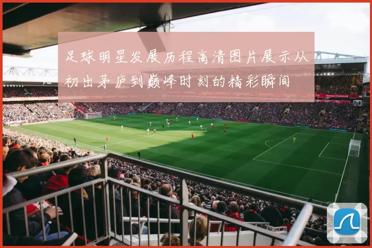 足球明星发展历程高清图片展示从初出茅庐到巅峰时刻的精彩瞬间